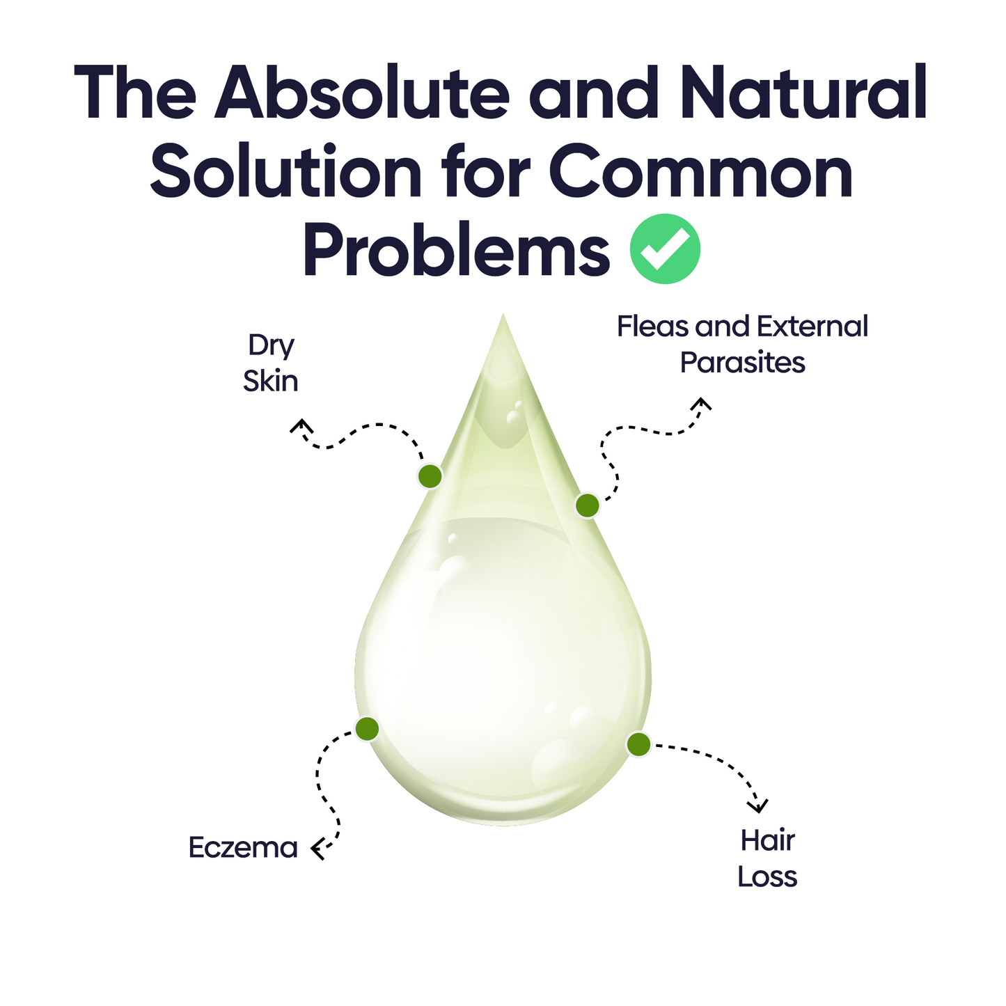 Clarifying Shampoo