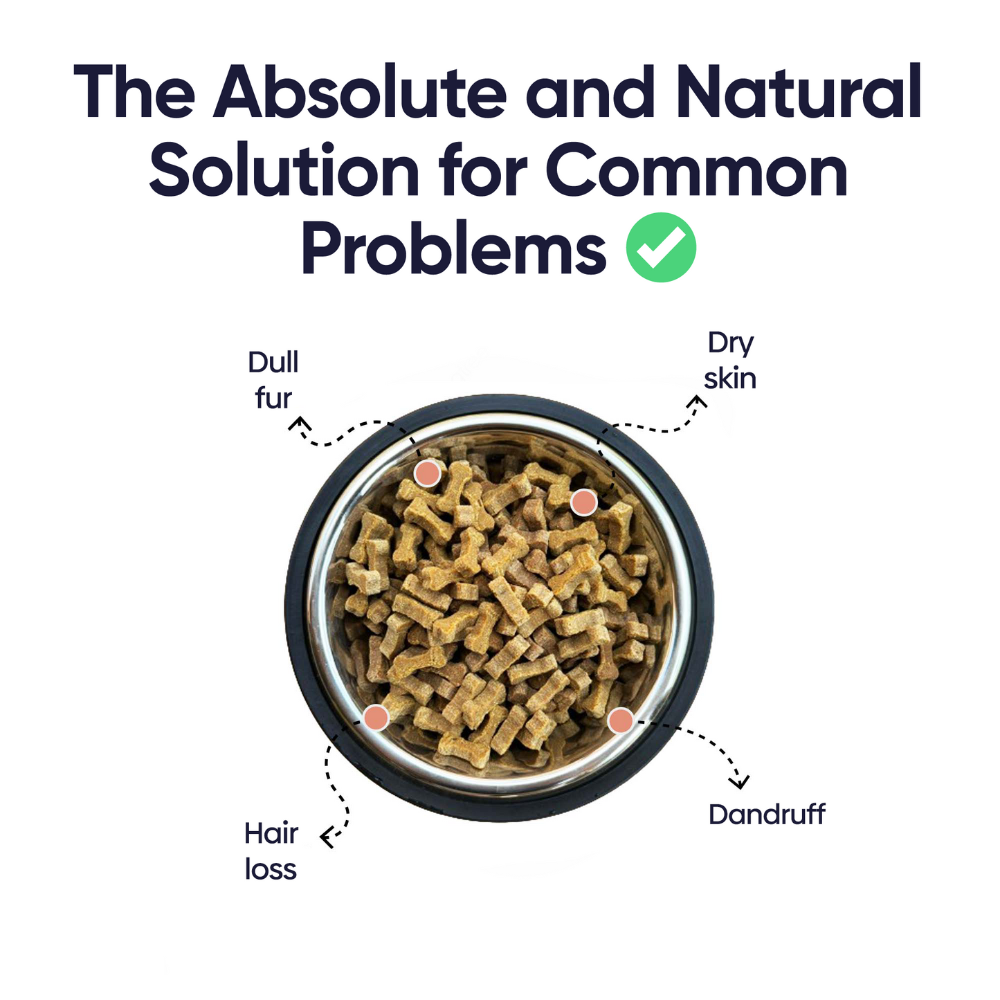 Skin and Coat Boosting Bites for Dogs - Soft Chews