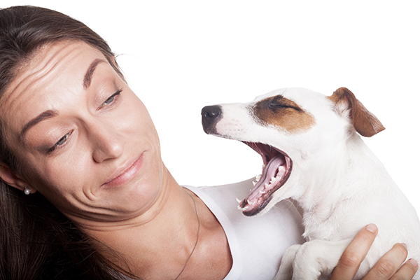 Does Your Dog Have Bad Breath? It Could Be a Sign of Illness