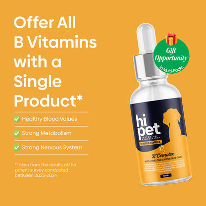 Vitamin B for Dogs