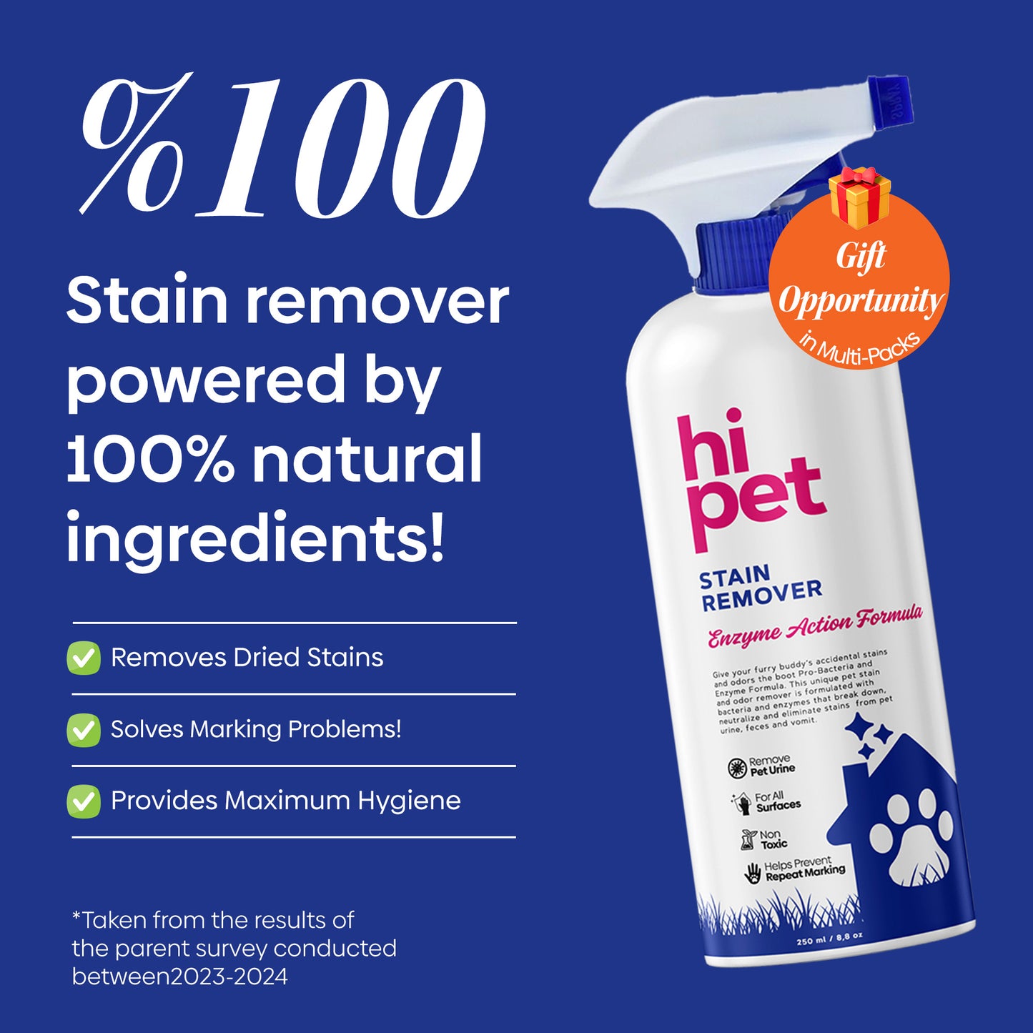 Stain Remover Spray