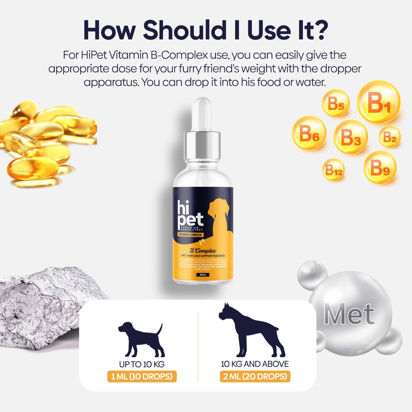 Vitamin B for Dogs