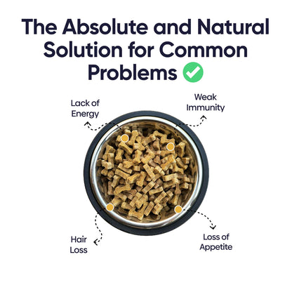 Multivitamin Bites for Dogs - Soft Chews