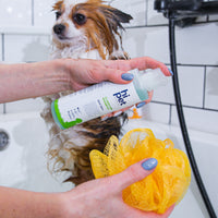 HiPet Clarifying Shampoo